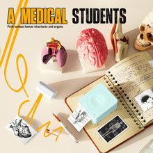 Lade das Bild in den Galerie-Viewer, Nelko PM230 Bluetooth Sticker Printer – Portable Mini Sticker Maker with 3 Rolls Paper, Compatible with Phone & Tablet, Multiple Templates, Green