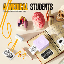 Lade das Bild in den Galerie-Viewer, Nelko PM230 Bluetooth Sticker Printer – Portable Mini Sticker Maker with 3 Rolls Paper, Compatible with Phone & Tablet, Multiple Templates, Purple