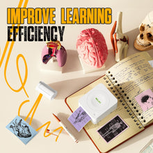 Load image into Gallery viewer, Nelko Genuine Self-Adhesive Thermal Printer Stickers, Compatible with PM230 Mini Sticker Printer, Black on White, 54mmx3.5m Mini Sticker Printer Paper, 3 Rolls, Blue/Pink/Purple